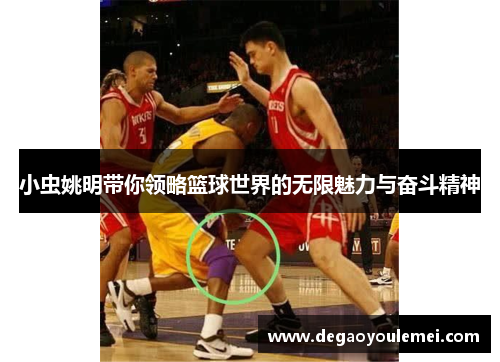 小虫姚明带你领略篮球世界的无限魅力与奋斗精神