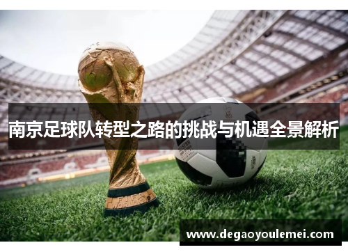 南京足球队转型之路的挑战与机遇全景解析
