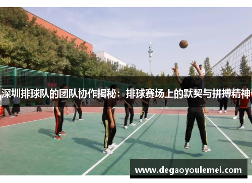 深圳排球队的团队协作揭秘：排球赛场上的默契与拼搏精神