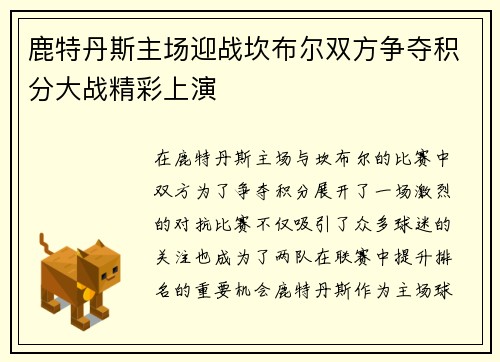 鹿特丹斯主场迎战坎布尔双方争夺积分大战精彩上演