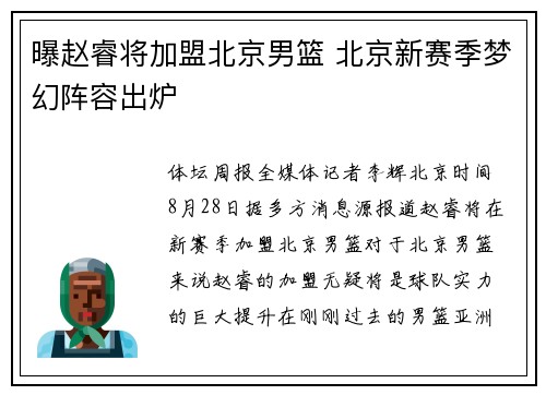 曝赵睿将加盟北京男篮 北京新赛季梦幻阵容出炉